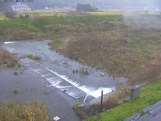 河内川２2025/12/08 11:30:00