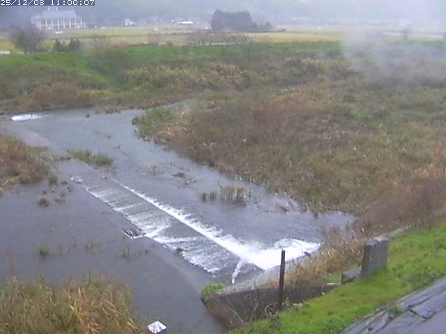 河内川２2025/12/08 11:30:00
