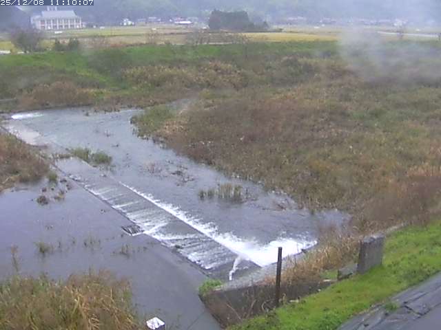 河内川２2025/12/08 11:30:00