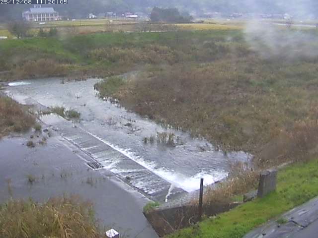 河内川２2025/12/08 11:30:00