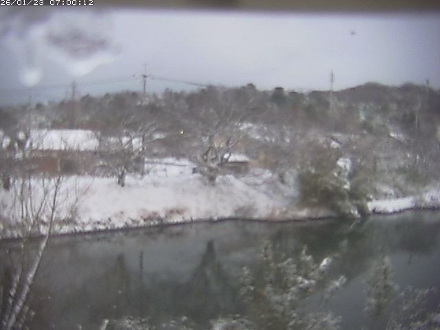 勝部川１2026/01/24 2:50:00