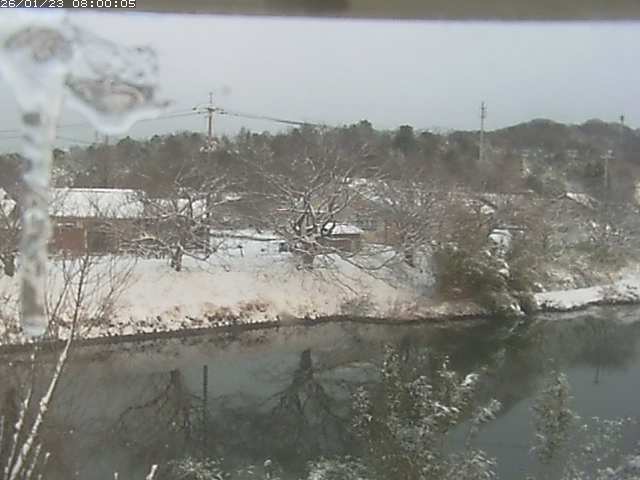 勝部川１2026/01/24 2:50:00