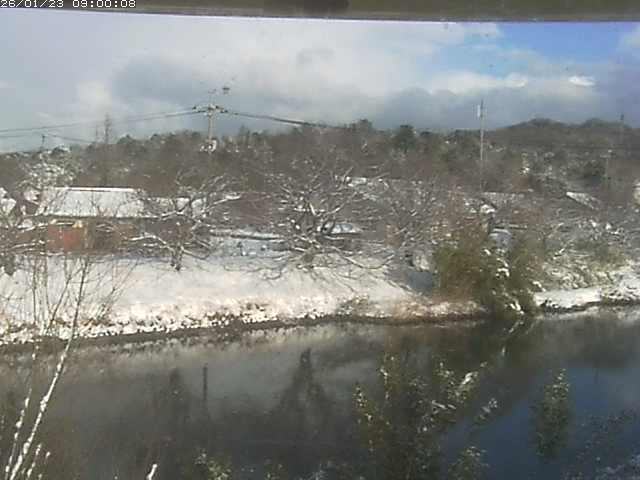 勝部川１2026/01/24 2:50:00