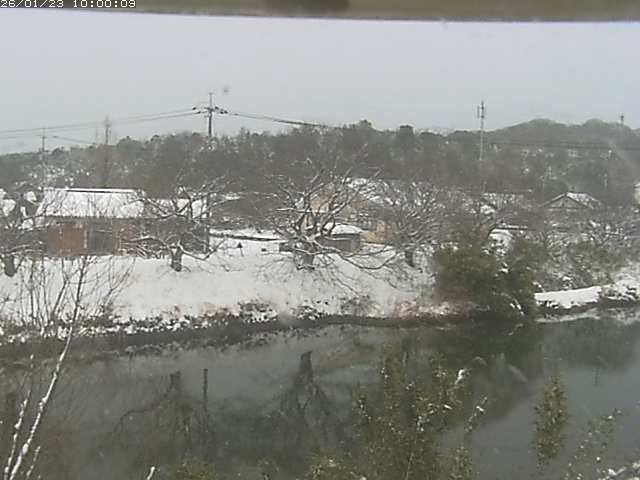 勝部川１2026/01/24 2:50:00