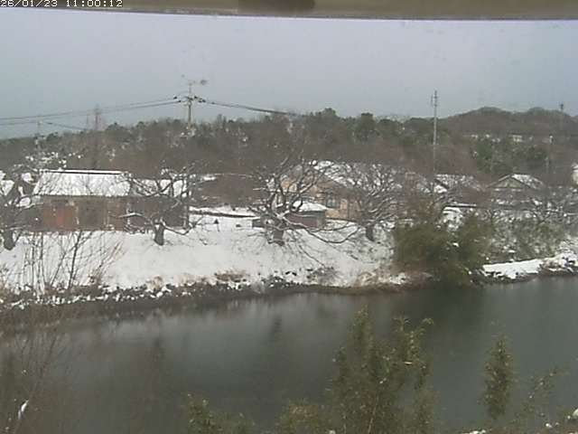 勝部川１2026/01/24 2:50:00