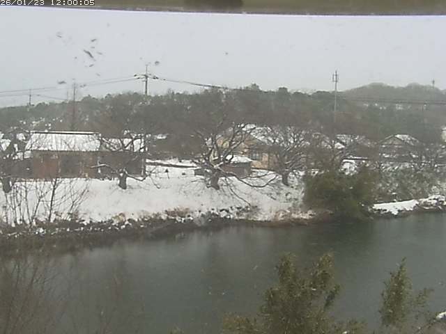 勝部川１2026/01/24 2:50:00