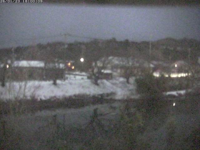 勝部川１2026/01/24 2:50:00