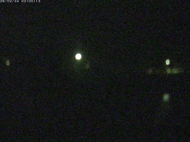 勝部川１2026/02/25 2:30:00