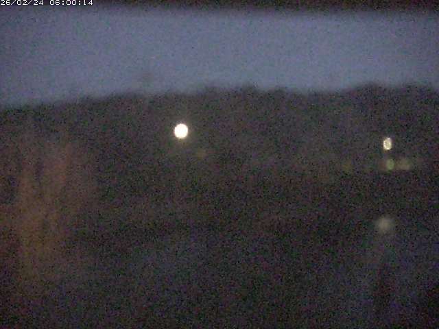 勝部川１2026/02/25 2:30:00