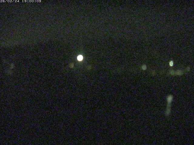 勝部川１2026/02/25 2:30:00