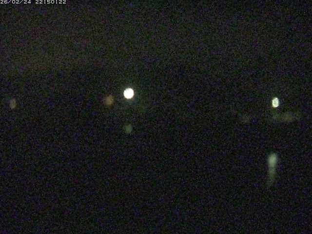 勝部川１2026/02/25 2:30:00