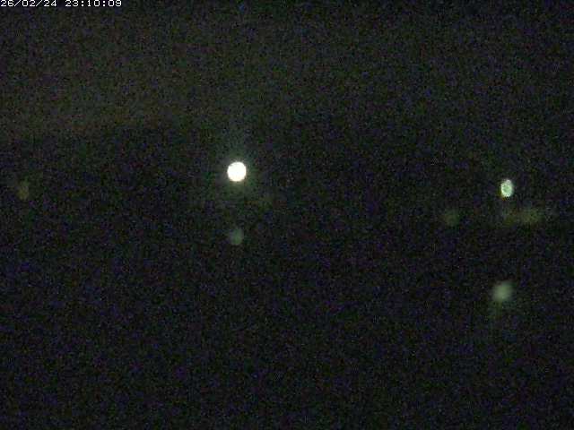 勝部川１2026/02/25 2:30:00