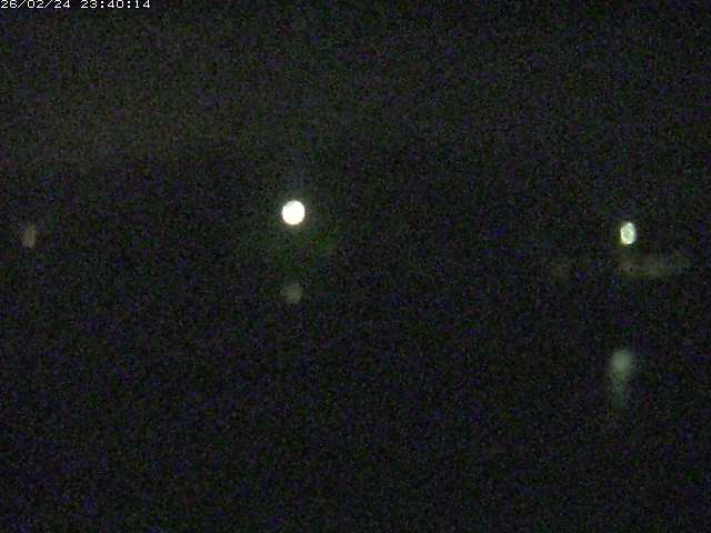 勝部川１2026/02/25 2:30:00