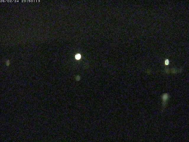 勝部川１2026/02/25 2:30:00