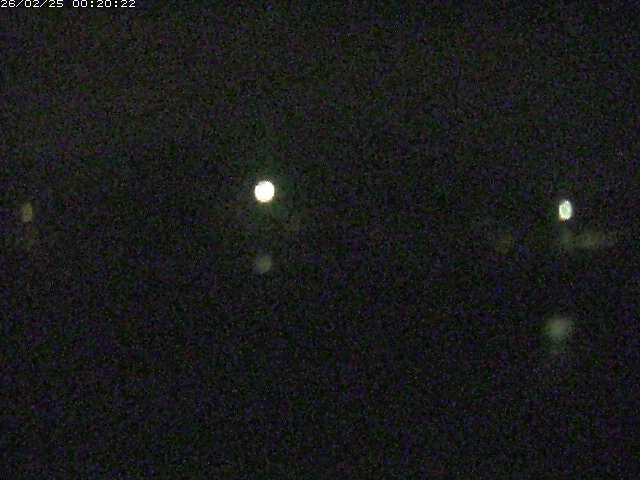 勝部川１2026/02/25 2:30:00