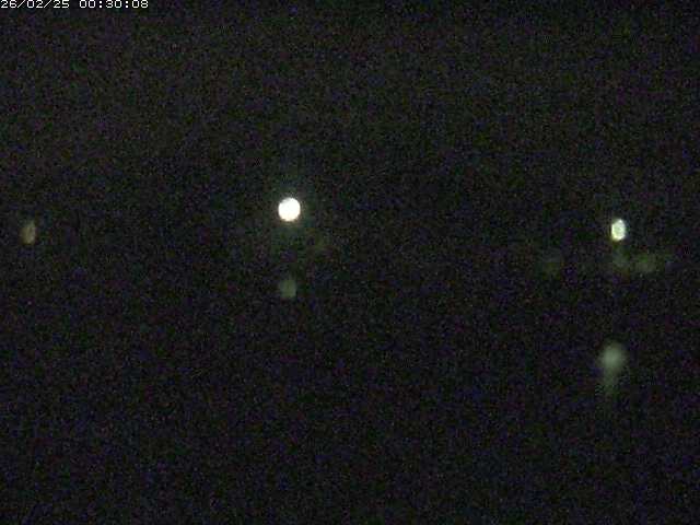 勝部川１2026/02/25 2:30:00