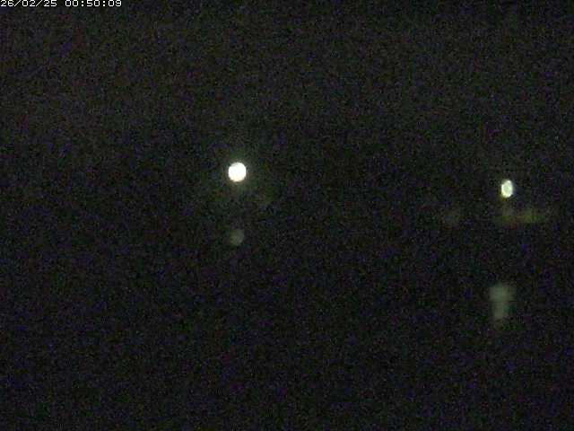 勝部川１2026/02/25 2:30:00