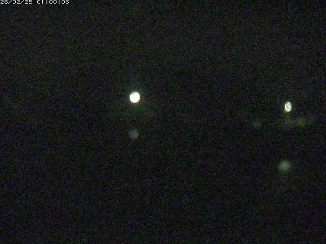 勝部川１2026/02/25 2:30:00