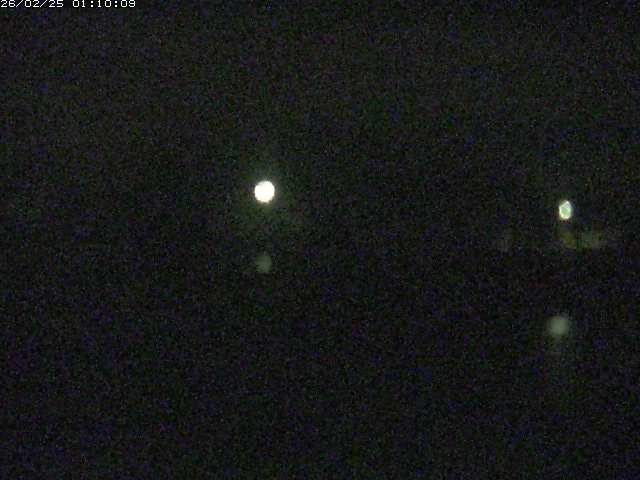 勝部川１2026/02/25 2:30:00