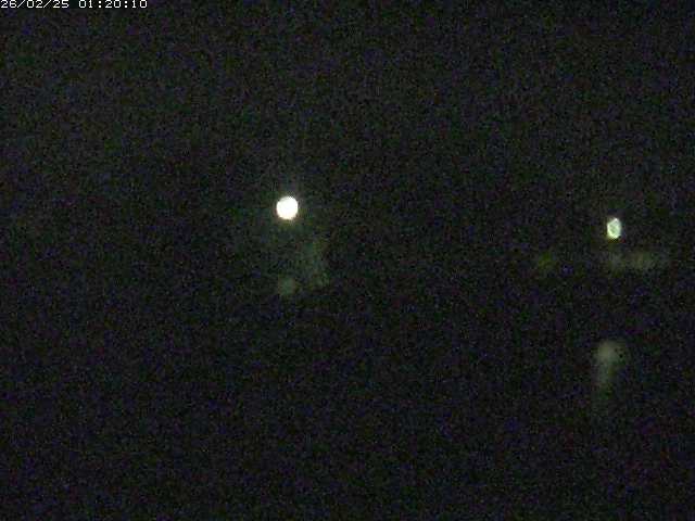 勝部川１2026/02/25 2:30:00