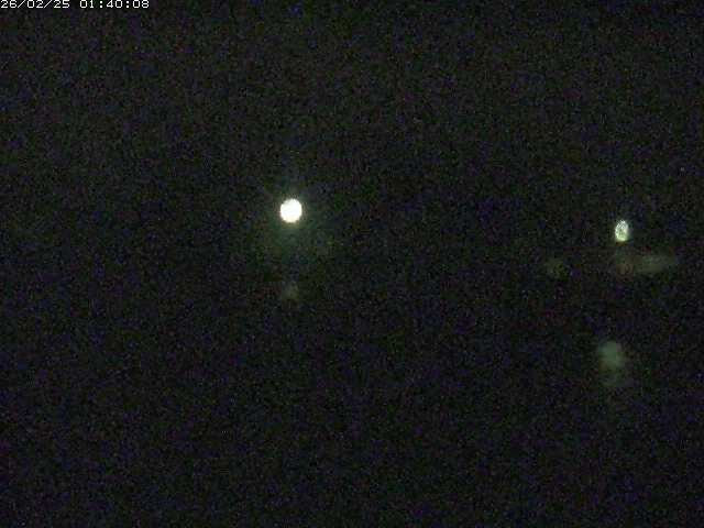 勝部川１2026/02/25 2:30:00