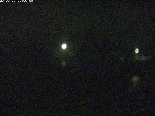 勝部川１2026/02/25 2:30:00