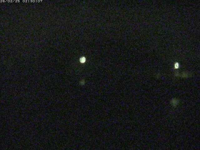 勝部川１2026/02/25 2:30:00