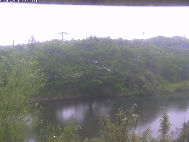 勝部川１2026/05/01 16:50:00