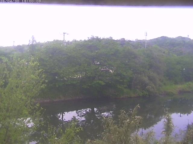 勝部川１2026/05/01 16:50:00