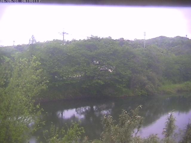 勝部川１2026/05/01 16:50:00