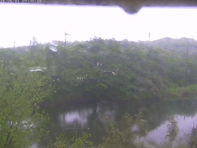 勝部川１2026/05/01 16:50:00