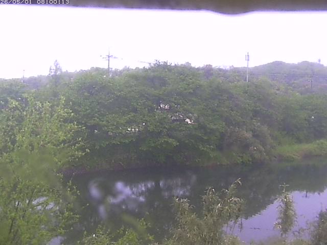 勝部川１2026/05/01 16:50:00