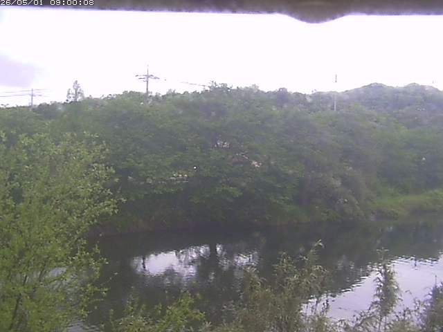 勝部川１2026/05/01 16:50:00
