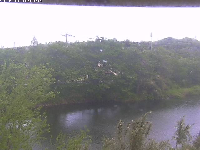 勝部川１2026/05/01 16:50:00