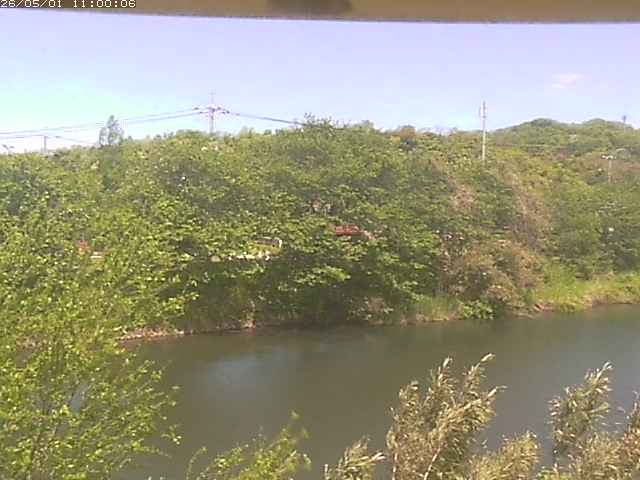 勝部川１2026/05/01 16:50:00