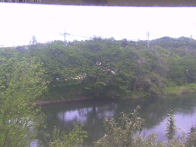 勝部川１2026/05/01 16:50:00