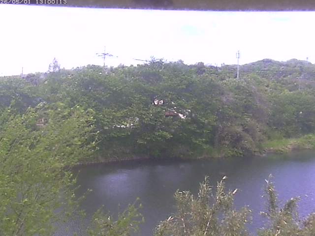 勝部川１2026/05/01 16:50:00