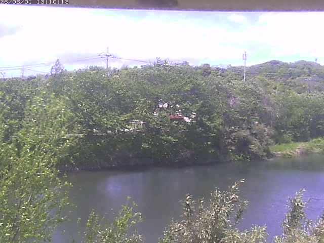 勝部川１2026/05/01 16:50:00