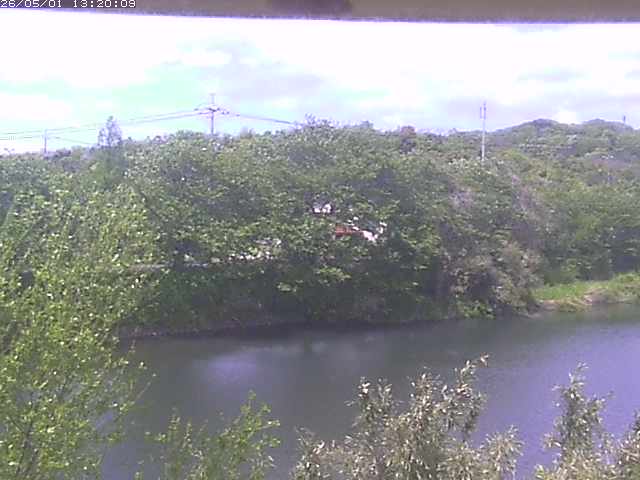 勝部川１2026/05/01 16:50:00
