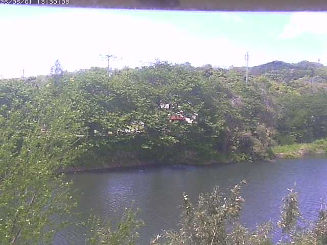 勝部川１2026/05/01 16:50:00