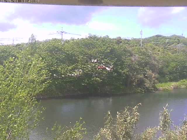 勝部川１2026/05/01 16:50:00