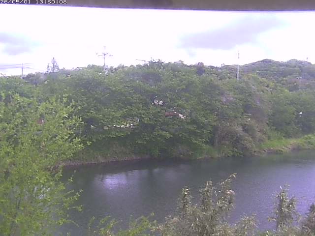 勝部川１2026/05/01 16:50:00