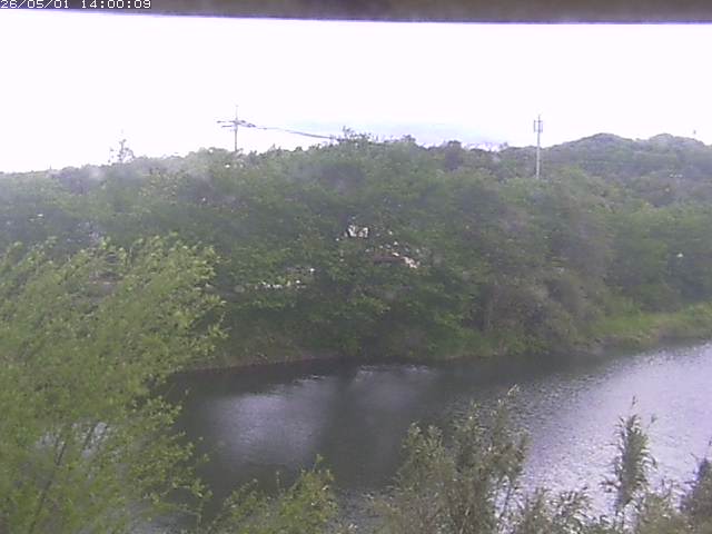 勝部川１2026/05/01 16:50:00