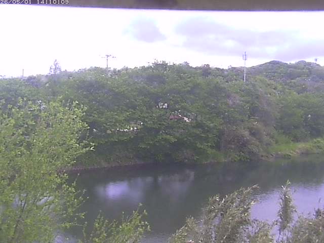 勝部川１2026/05/01 16:50:00