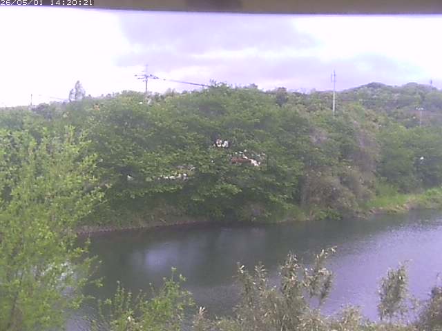 勝部川１2026/05/01 16:50:00