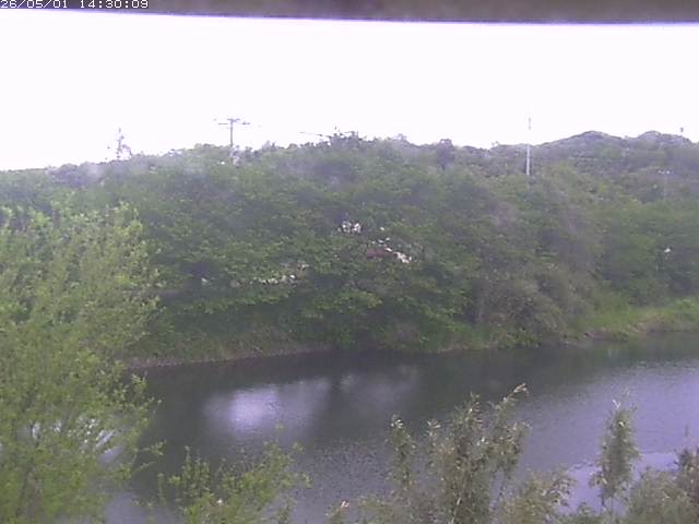 勝部川１2026/05/01 16:50:00