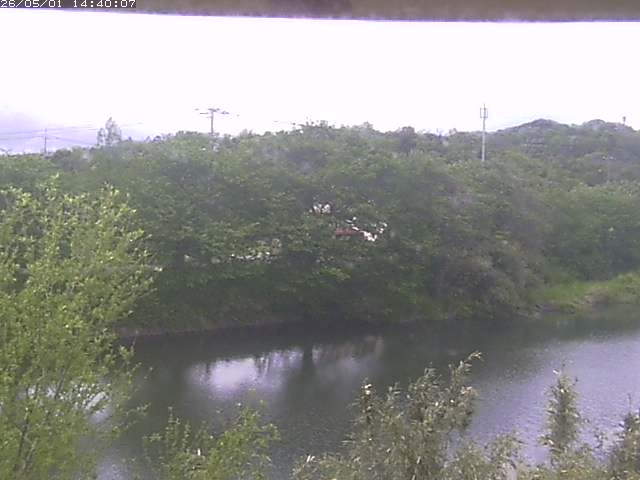 勝部川１2026/05/01 16:50:00