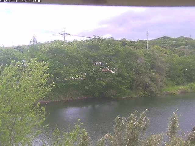 勝部川１2026/05/01 16:50:00