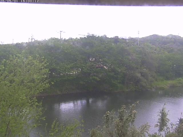 勝部川１2026/05/01 16:50:00