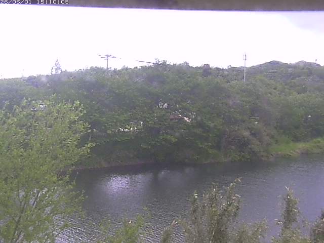 勝部川１2026/05/01 16:50:00